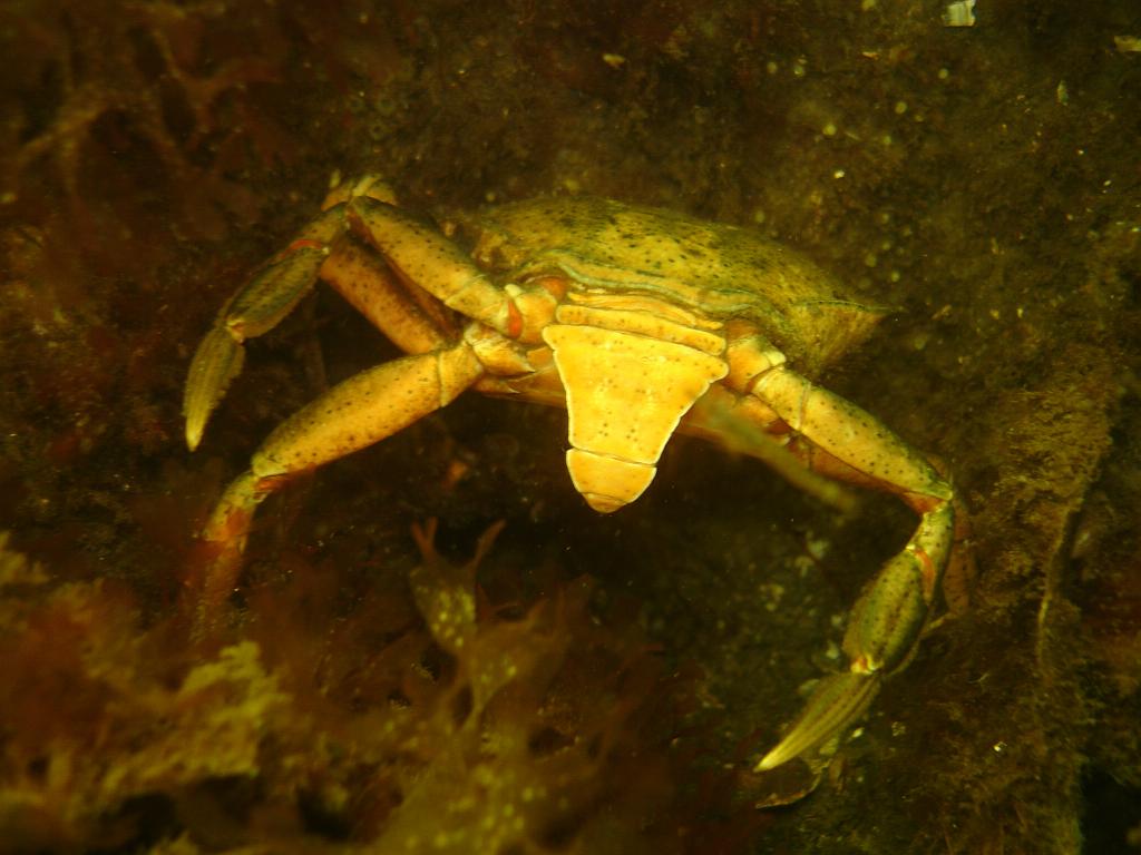 2008-06-28 12-49-03 H.JPG